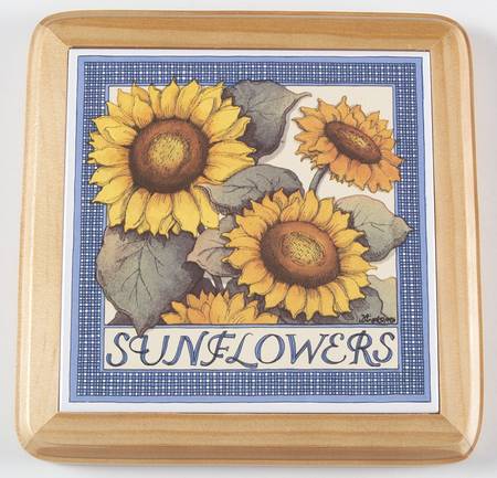 Farmhouse Blue Wood Frame Trivet