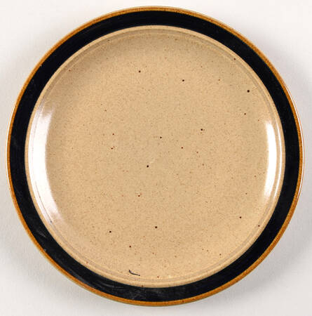 Round Up Blue Salad Plate