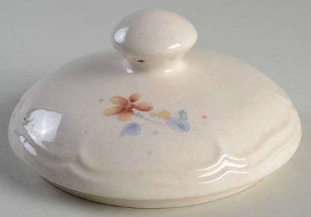 Something Special Lid for Extra Large Canister