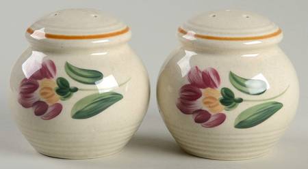 Stagebrush Salt & Pepper Set
