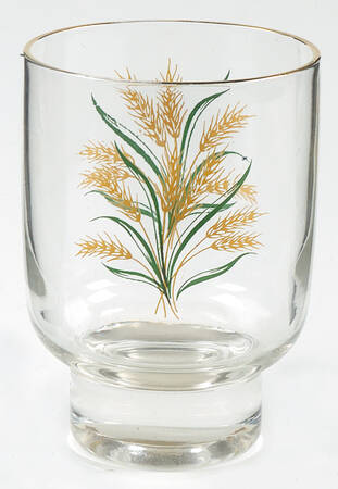 Viking Glassware Short Tumbler