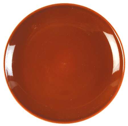 Casual Red Salad Plate