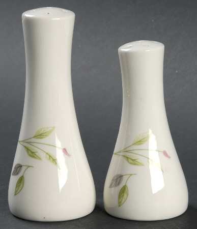 Wild Rose Salt & Pepper Set