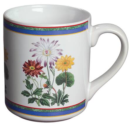Smithsonian Botanic Mug by International