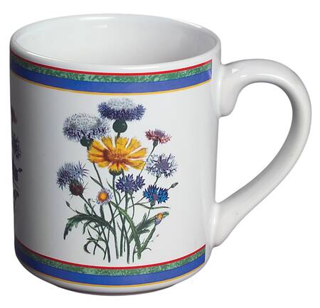Smithsonian Botanic Mug by International