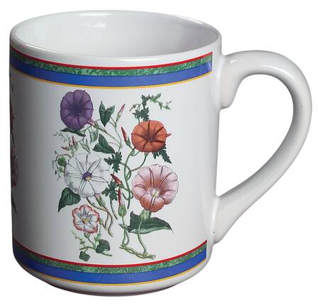 Smithsonian Botanic Mug