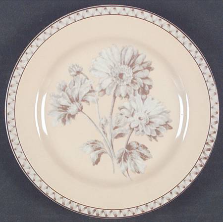 Somerville Salad Plate