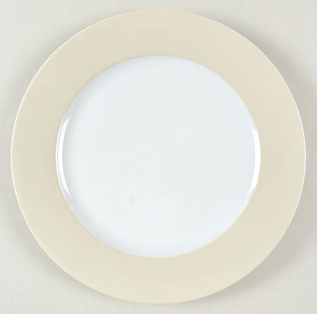 365+ Dinner Plate