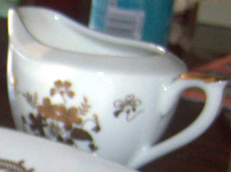 E1496 Creamer