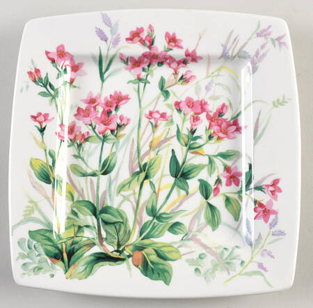 Canarie Salad Plate