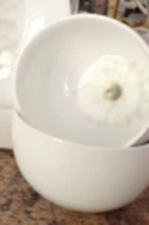 Daisy Mug
