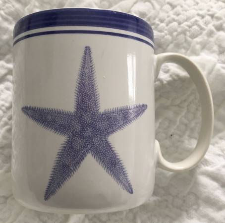 Sea Shells Mug