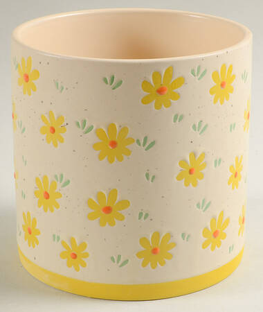 Daisy Medium Canister No Lid