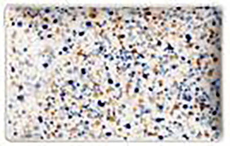 Oiva Toika Collection 11" Rectangular Plate