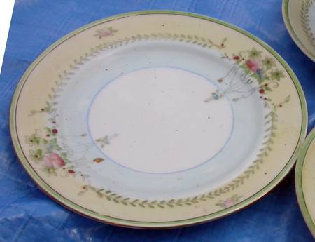 JAP55 Salad Plate