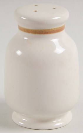 Vanilla Spice Salt Shaker