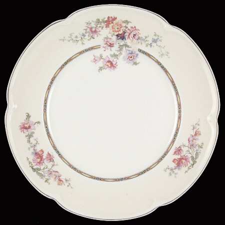 Acanthus by Johnson Brothers