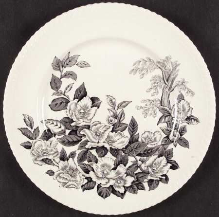 Appleblossom Gray Black by Johnson Brothers