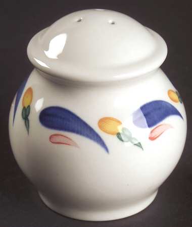 Aquabatic Salt Shaker