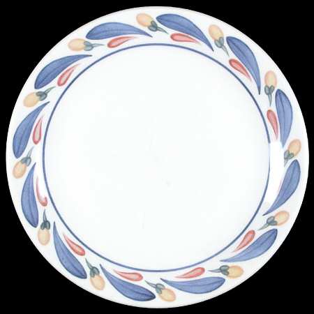 Aquabatic Salad Plate