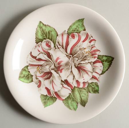 Camellia Multicolor Salad Plate