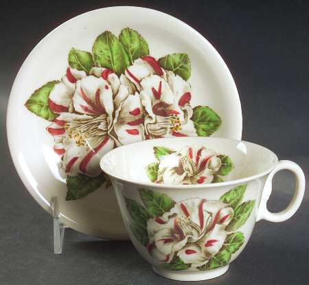 Camellia Multicolor Flat Cup & Saucer Set