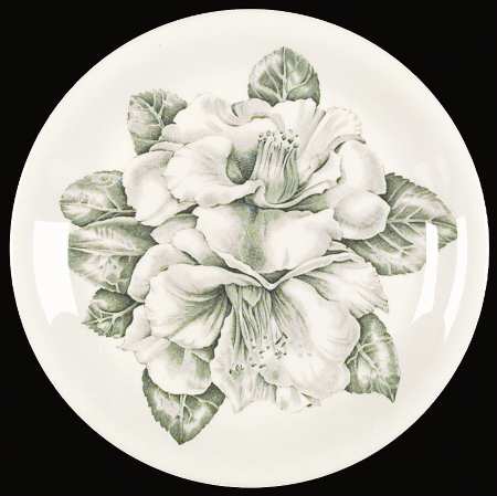 Camellia Green by Johnson Brothers