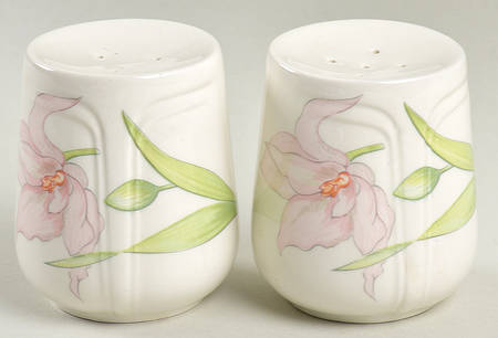 Celebrity Salt & Pepper Set