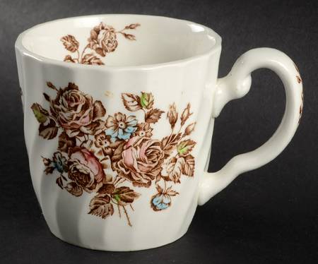 Devon Sprays Brown Multicolor Mug