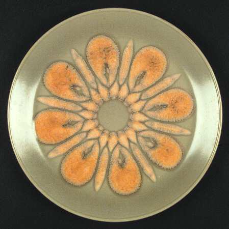 Dorado (Beige Orange) by Johnson Brothers