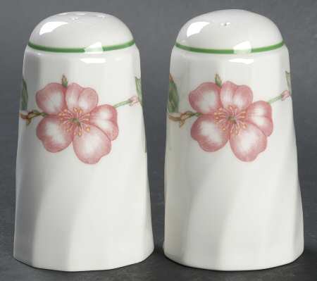English Rose (Regency, Floral Vine) Salt & Pepper Set