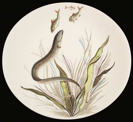 FISH (CREAM) Dinner Plate