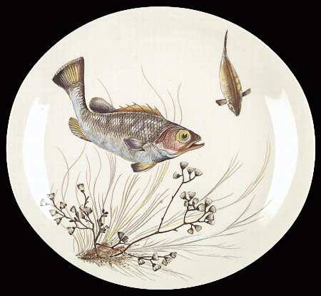 FISH (CREAM) Dinner Plate