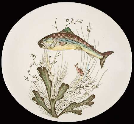 FISH (CREAM) Salad Plate