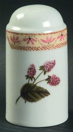 Fruit Sampler (Newer) Salt Shaker