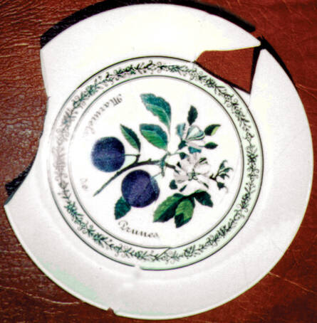 JB244 Dinner Plate