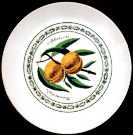 JB244 Dinner Plate