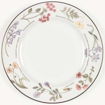 Wild Flowers by Johnson Brothers