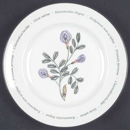Wild Flowers Bread & Butter Plate