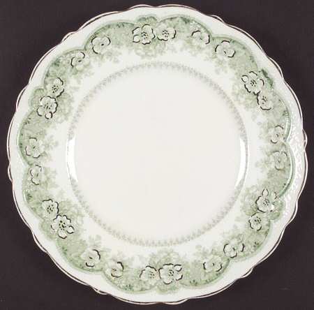Wild Rose Green by Johnson Brothers