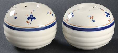 Antique Blue Flowers Salt & Pepper Set