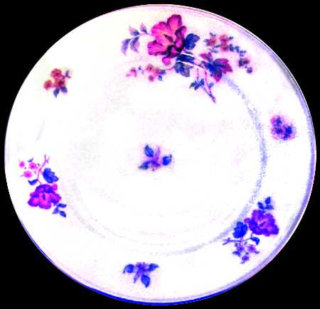 E585 Dinner Plate