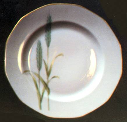 Harvest by Johann Haviland