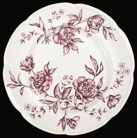 Warwick Mulberry by Johnson Brothers
