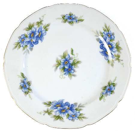 Blue Violet by ACI