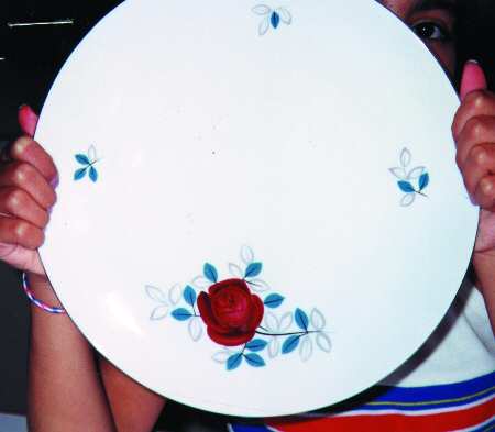 JOH235 Dinner Plate