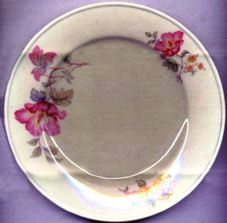 Erika Salad Plate