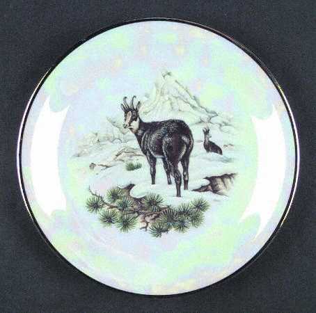 JOE6 Salad Plate