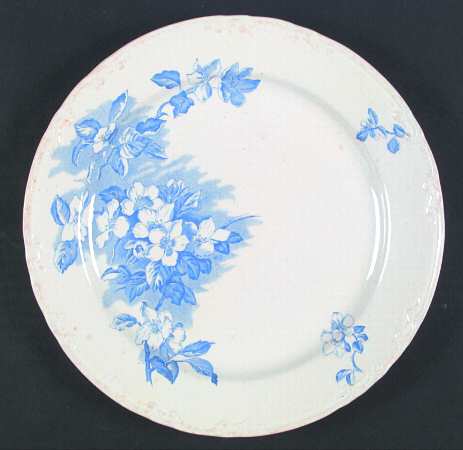 Colony Dinner Plate