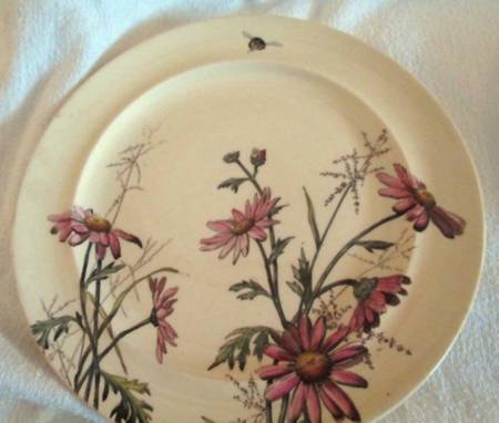 Chrysanthemin Multicolor Salad Plate